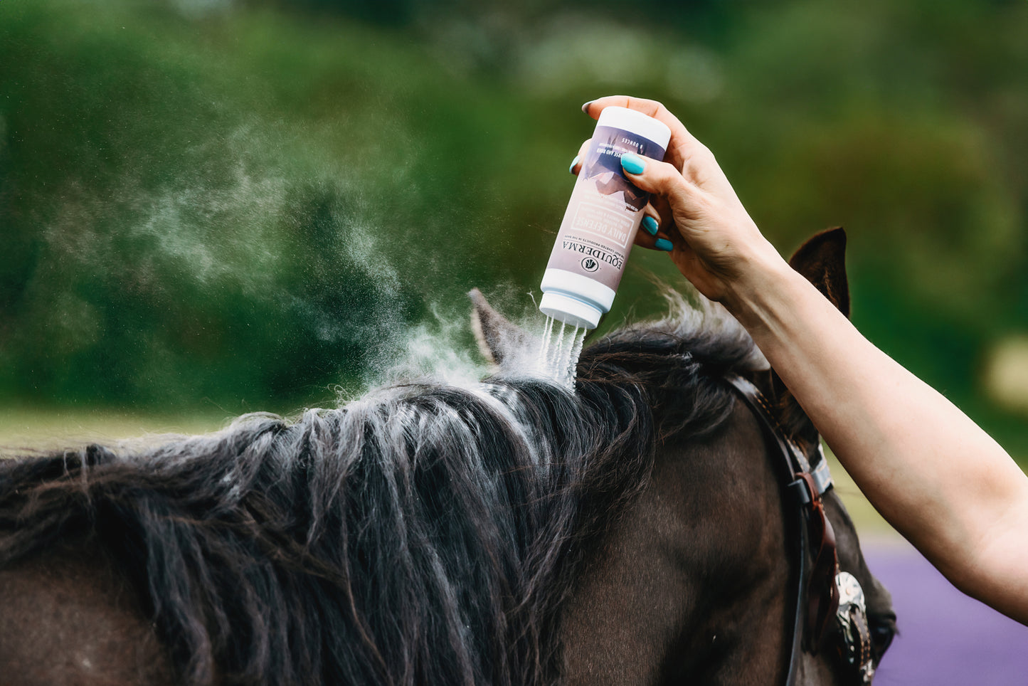 Dry Shampoo (Coming Soon!)